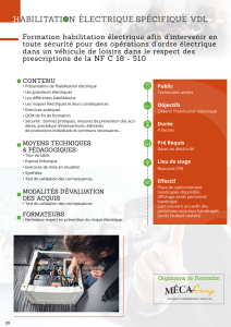 Formation habilitation électrique spécifique vdl